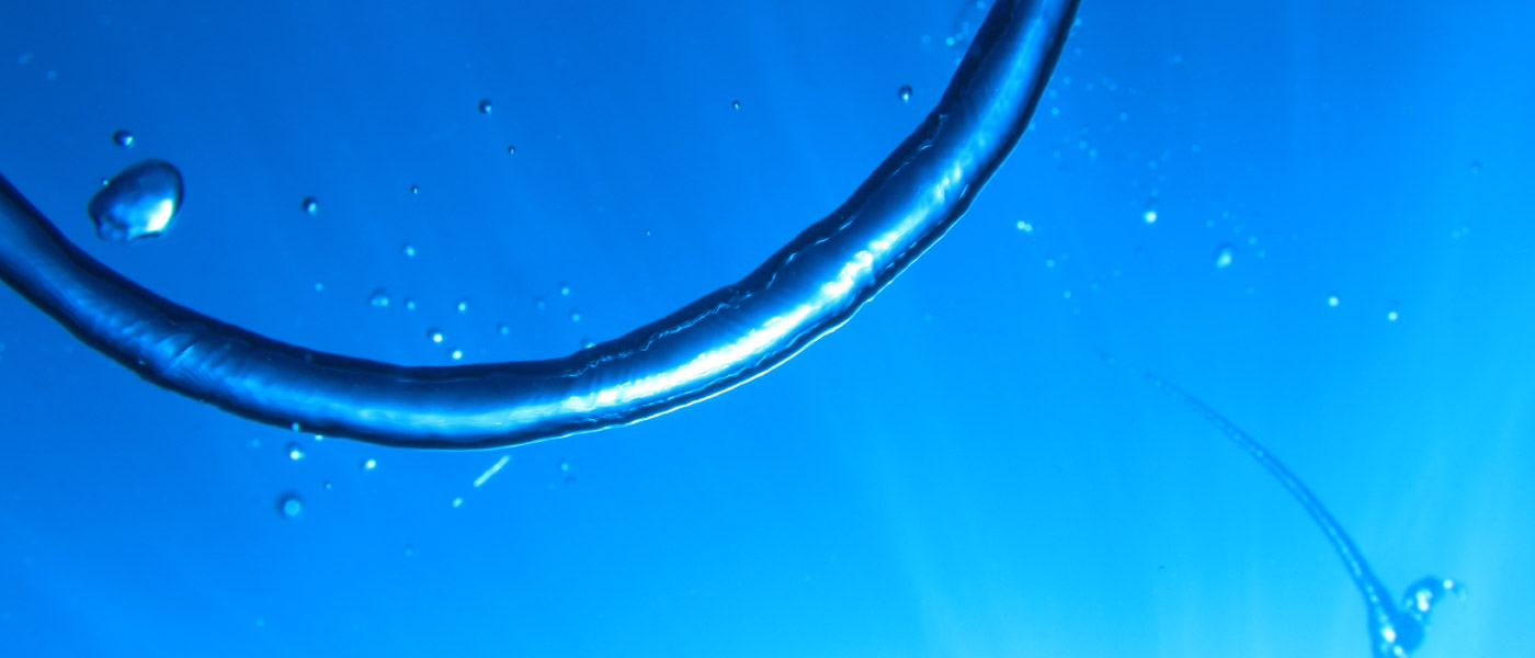 各種お申し込み