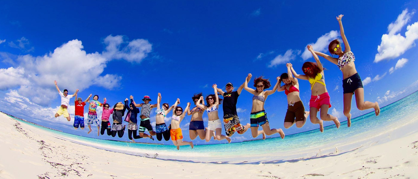 ライセンス取得の流れ